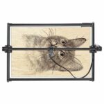 Imprimantes 3D ZBAITU M81 FF80 10W Noir