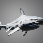 requin realiste 3d